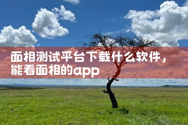 面相测试平台下载什么软件